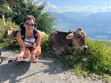 Beim Wandern im Allgäu, etwa auf 800 Metern, begegnet man oft entspannt daliegenden Kühen.