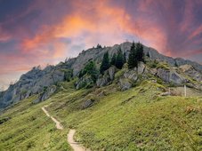 Der Bärenkopf (ca. 1.463 m) liegt bei Pfronten im Ostallgäu und ist für seine spannenden Steige bekannt – die Leiter ist eines der markanten Highlights.