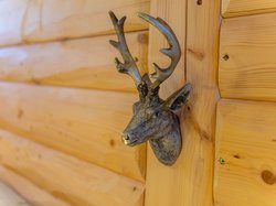 Außergewöhnliche Dekostücke schaffen ein besonderes Ambiente. Außergewöhnliche Dekostücke schaffen ein besonderes Ambiente im Chalet "Auszeit".